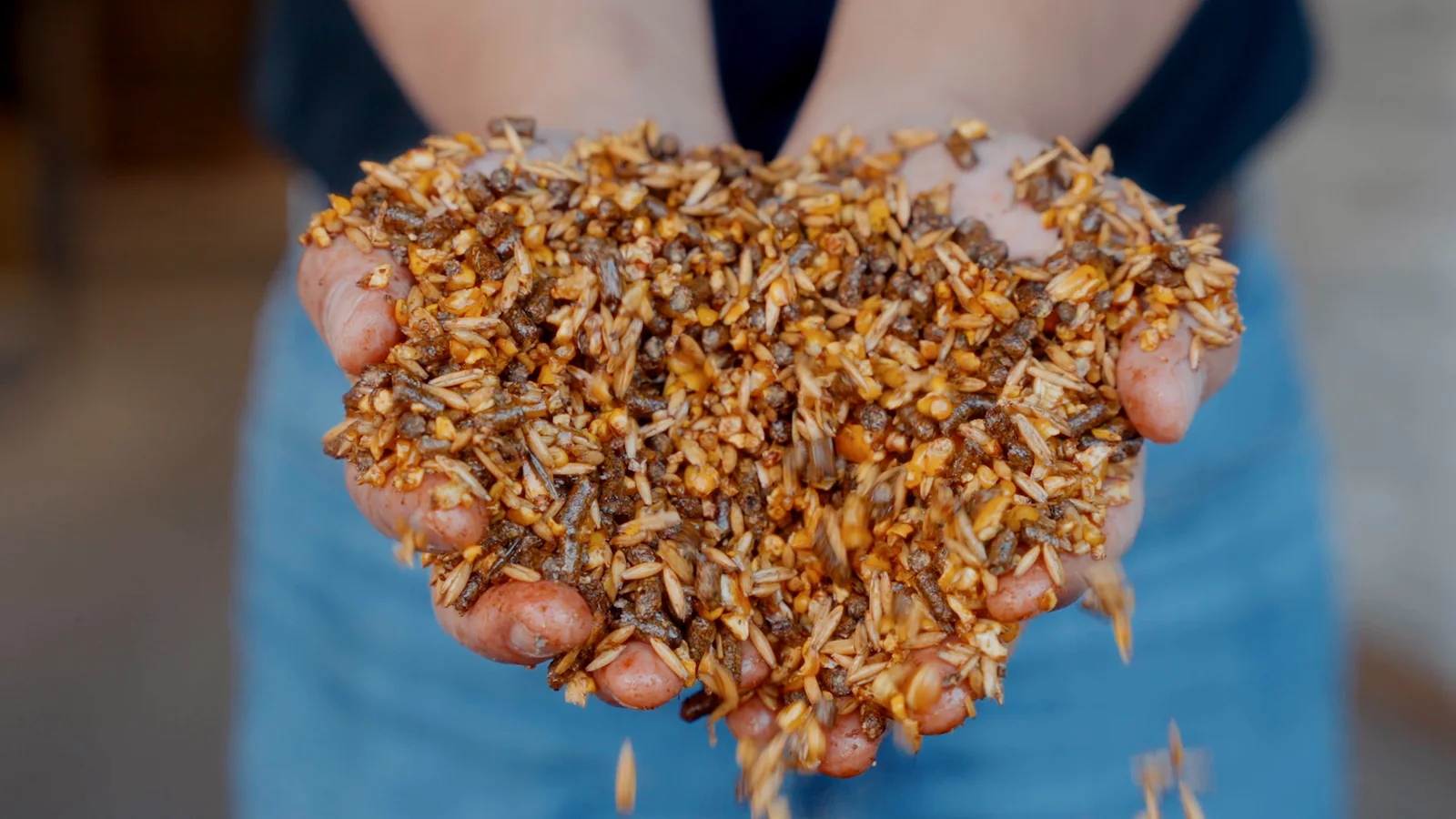 Two cupped hands holding freshly made textured feed